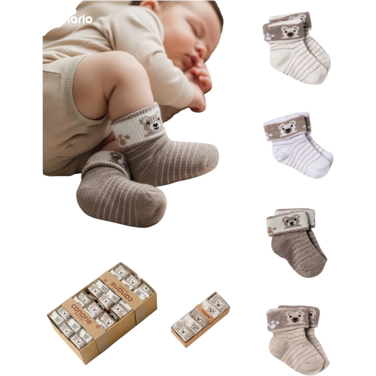 Ayıcık Desen Organik Renkler Kutulu Bebe Çorap 6 Ay - 9 Ay
