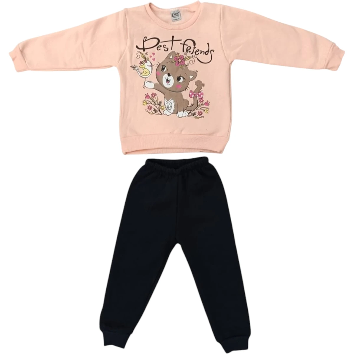 Winter Cat Best Printed Set