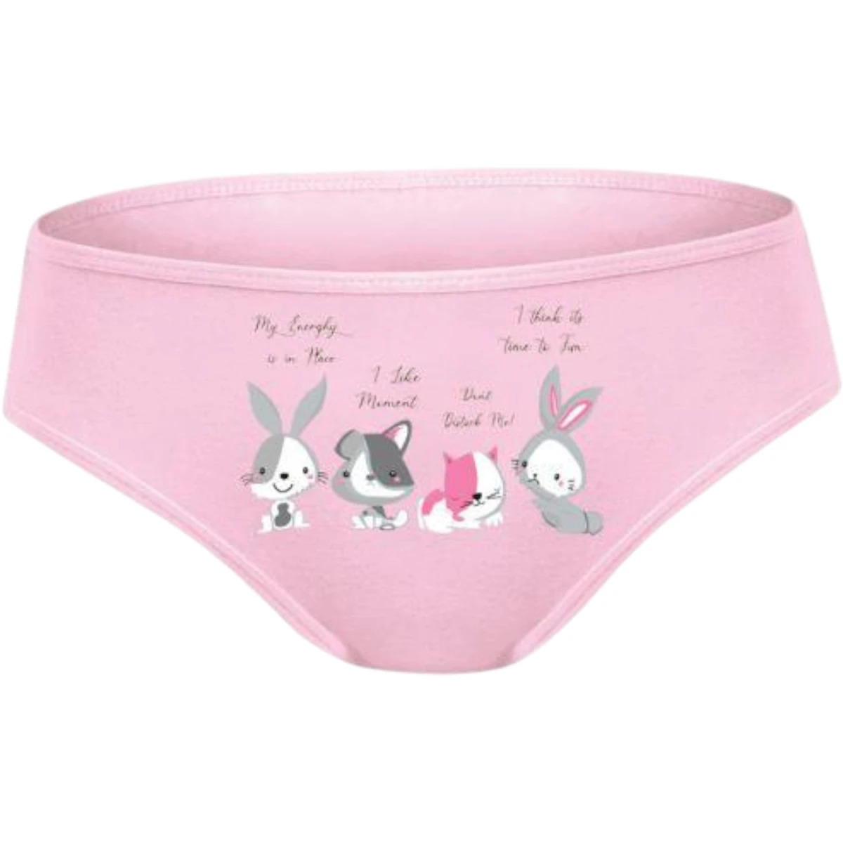 Kız Çocuk Baskılı Slip (Desen 730)