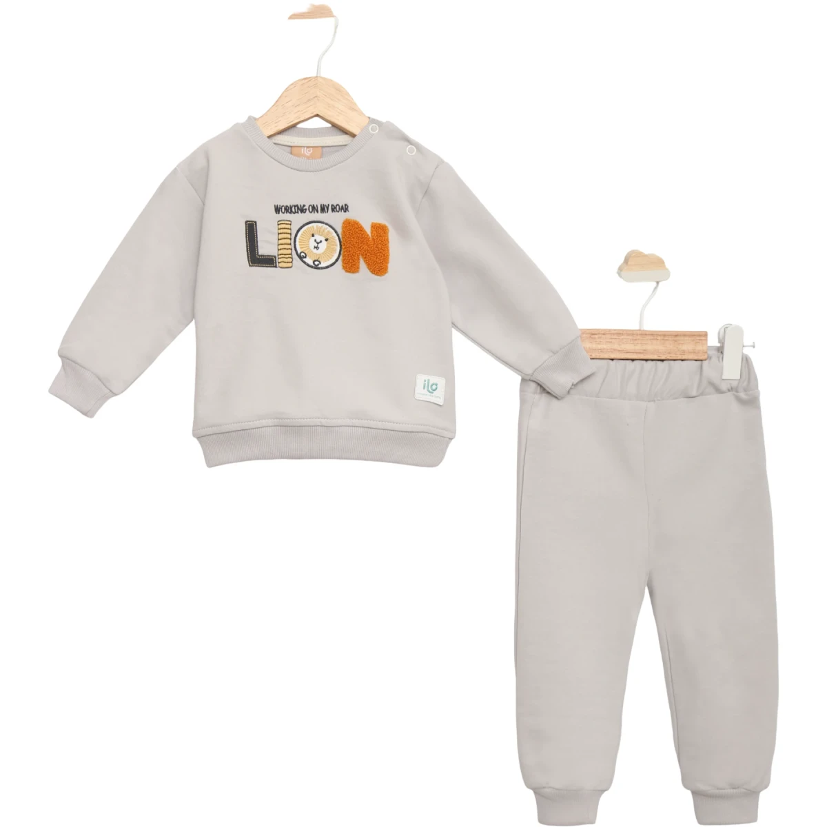 Lion Print Set