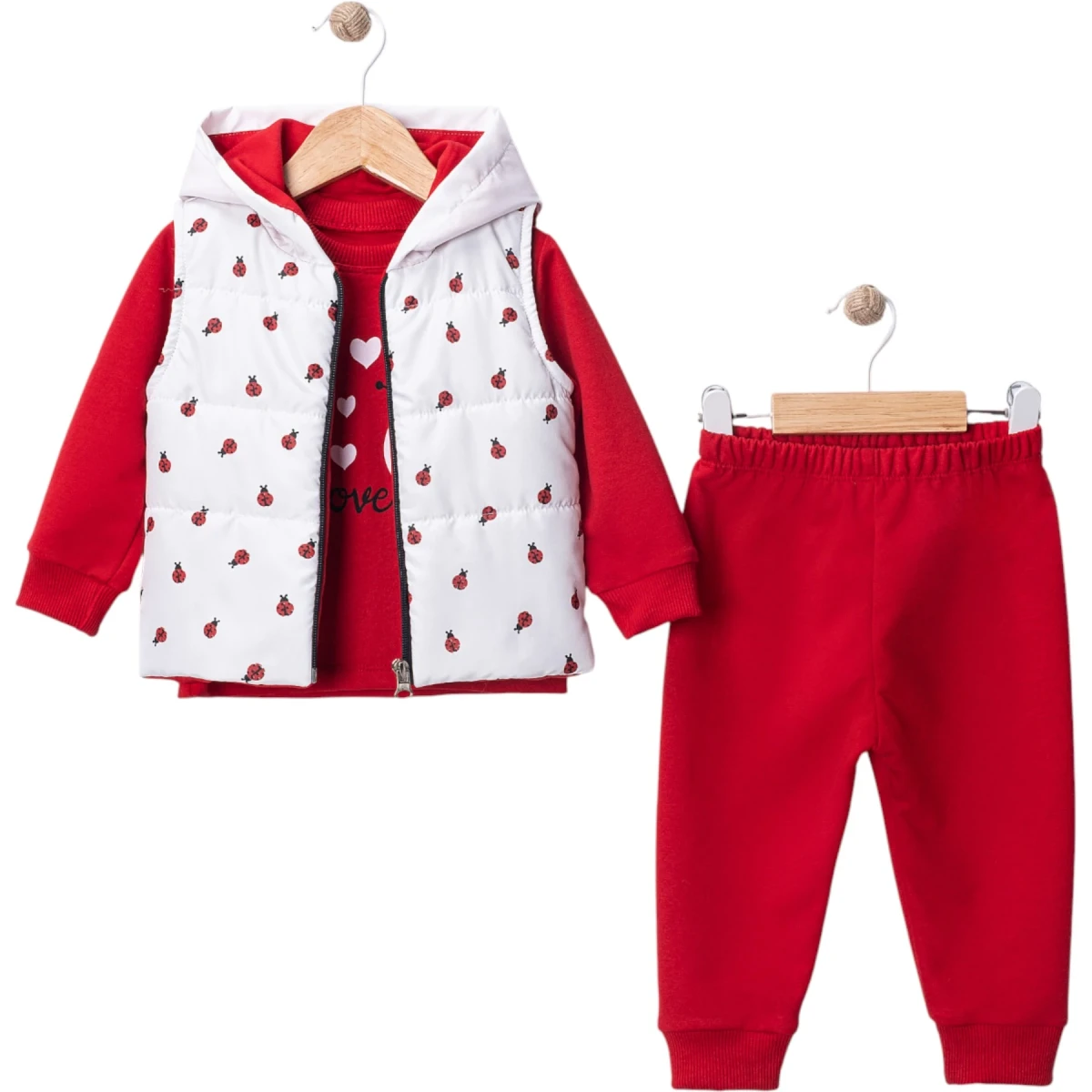 Ladybug Set
