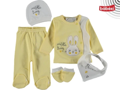 5-Piece Newborn Bodysuit Set Bunny Print