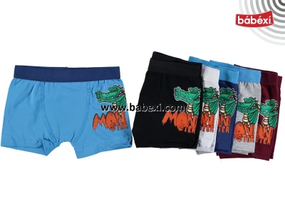 Çocuk Boxer