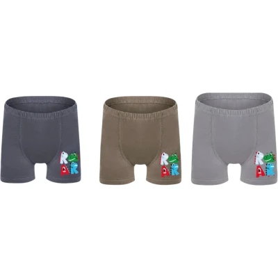 Erkek Çocuk Baskılı Boxer 2 Yaş - 3 Yaş