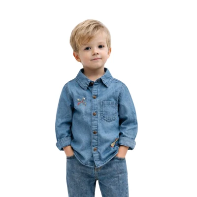 Embroidered Denim Shirt