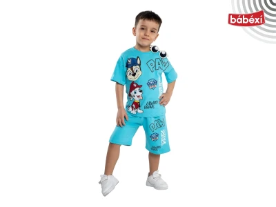 Paw Patrol Takım