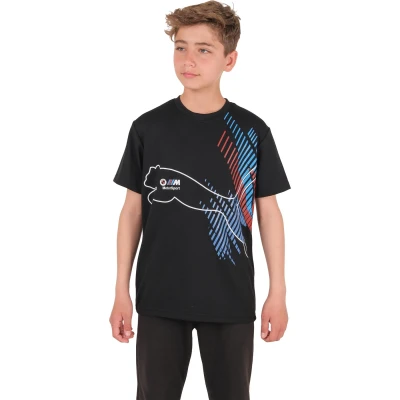 Sıfır Yaka Puma Baskılı Sweatshirt