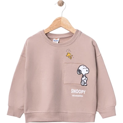 Snoopy Pocket Overlay Embroidered Sweatshirt